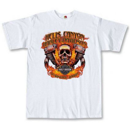 Футболка Harley Davidson - Hells Canyon White